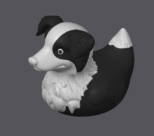 Canard Border Collie