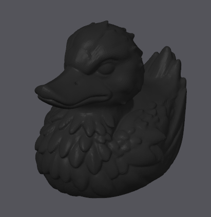 Canard Corbeau Noir
