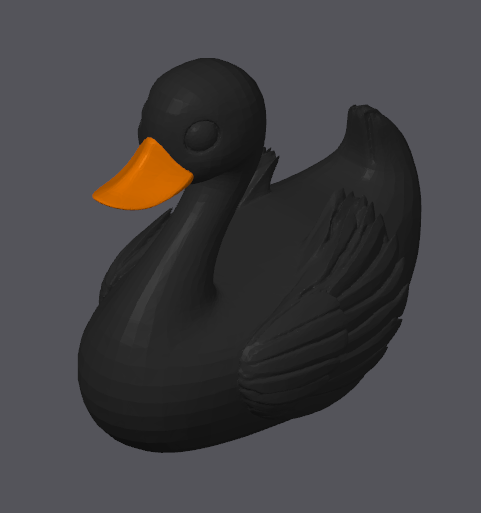 Canard Cygne Noir