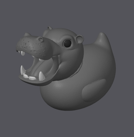 Canard Hippopotame