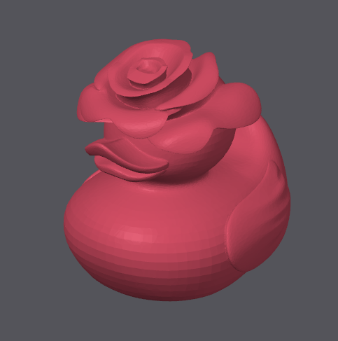 Canard rose