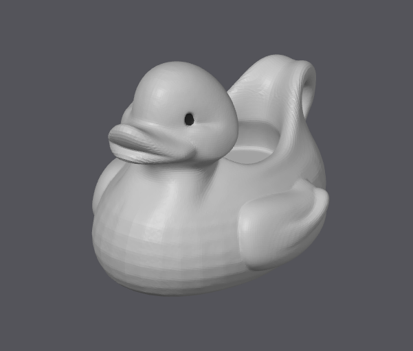 Canard Saucière