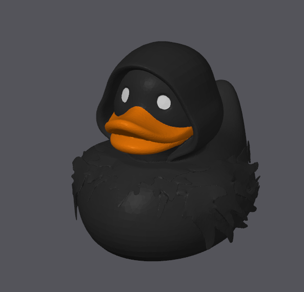 Canard Wraith
