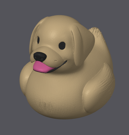 Canard Labrador