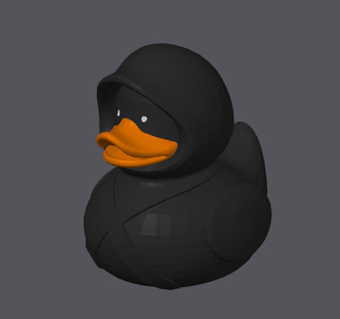 Canard Ninja