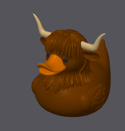 Canard Vache des Highlands